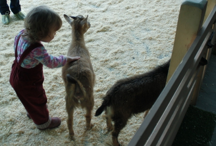 Контактный зоопарк, Теплый стан