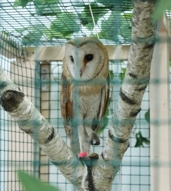 Контактный зоопарк, Теплый стан