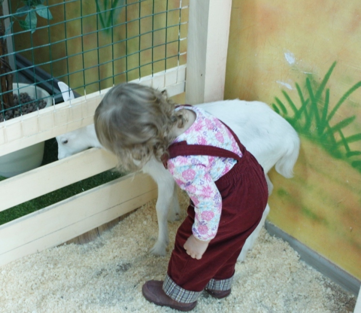 Контактный зоопарк, Теплый стан