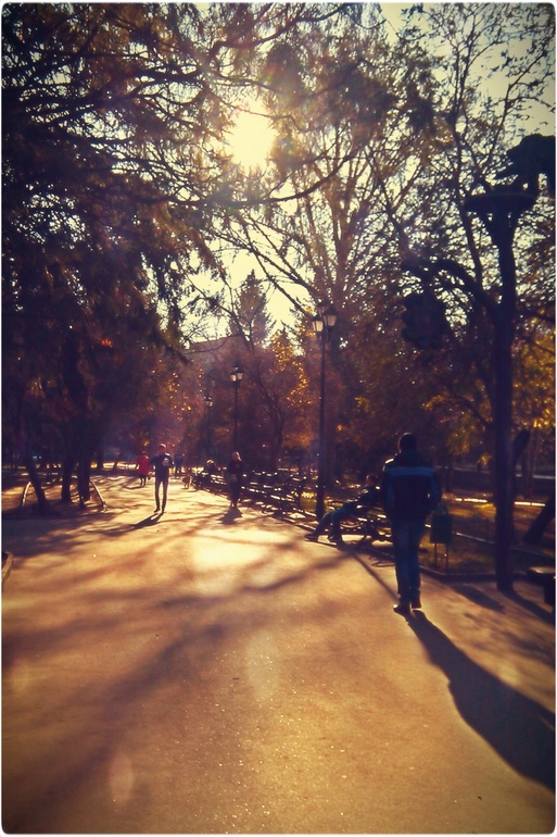 Day #14 (10,5)