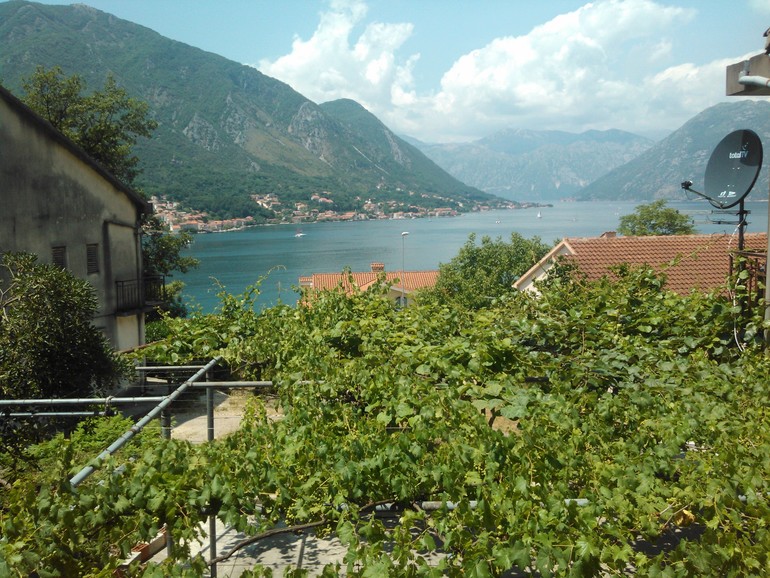 Черногория на 3 недели