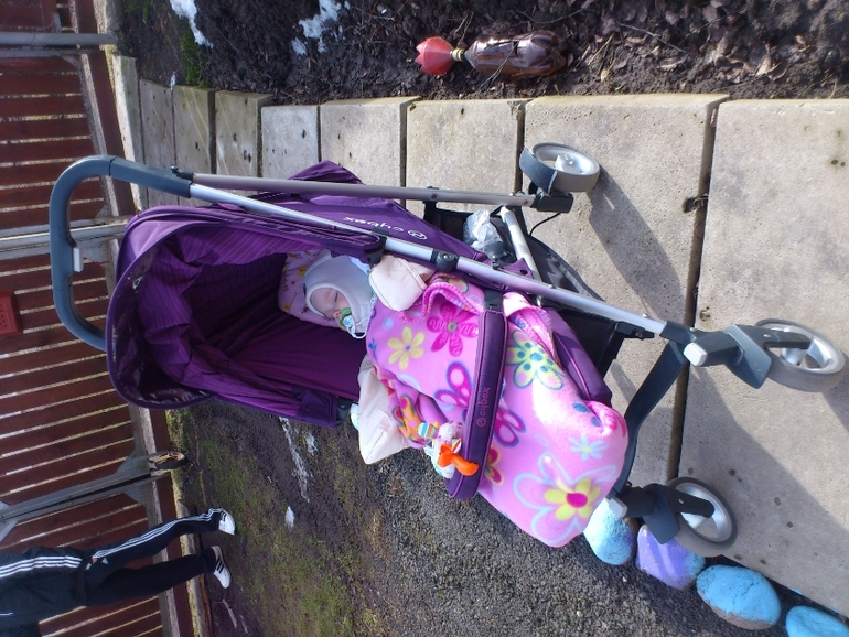 наша Cybex Callisto