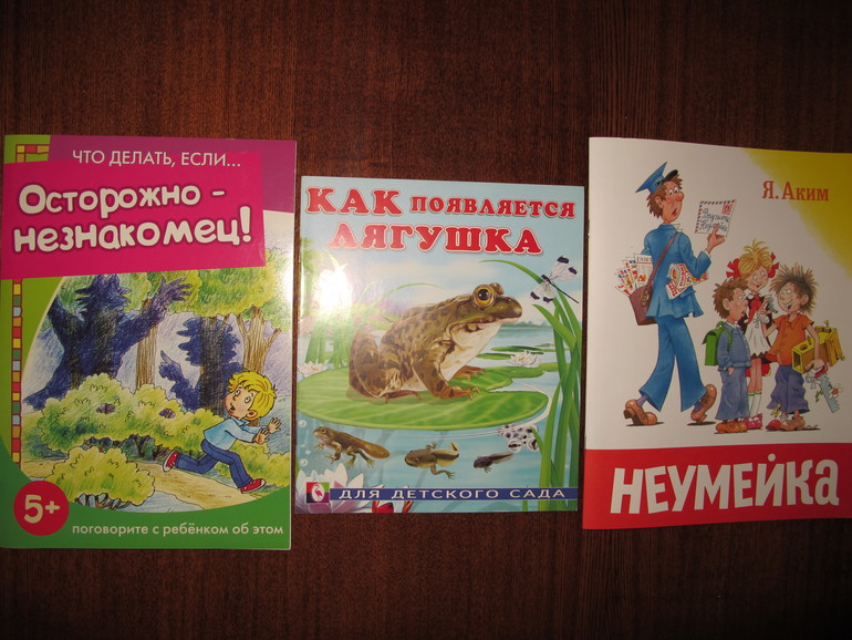 Наше чтение в апреле - мае. Сыночкам 4 и 6 лет.