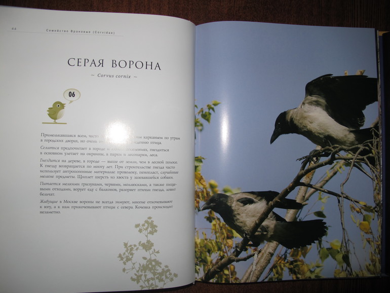 Наше чтение в марте. Мальчишкам 4 и 6 лет.