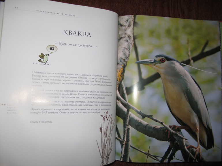 Наше чтение в марте. Мальчишкам 4 и 6 лет.