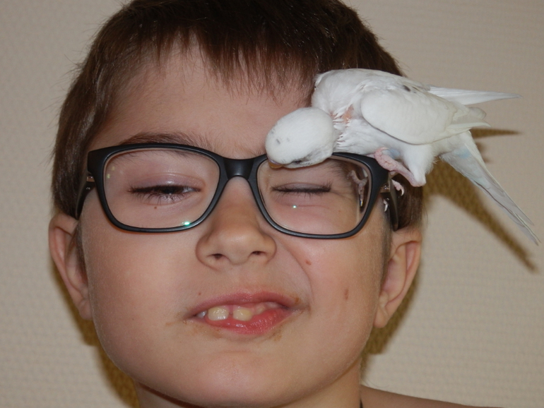 Мои сладкие малыши уже совсем большие, летают)