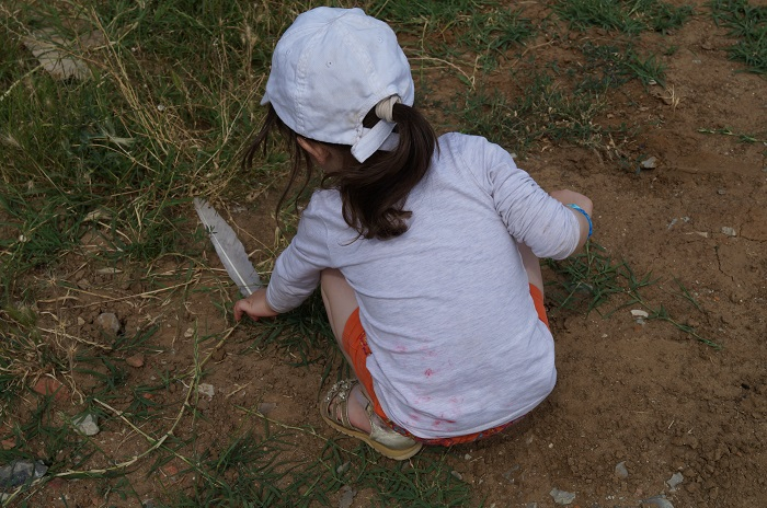 26 мая. Найти на прогулке самое красивое перышко