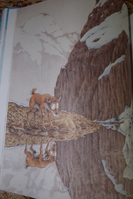 Наши новинки.