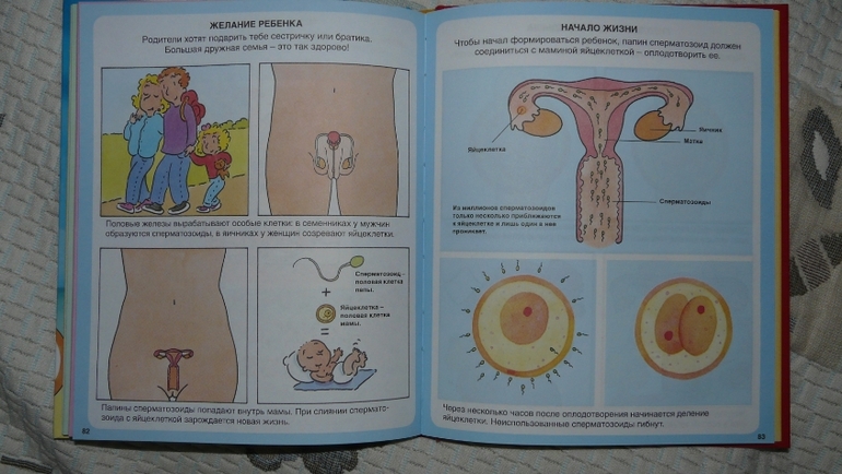 Долгожданное пополнение!