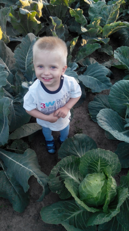 Откуда берутся дети?!))