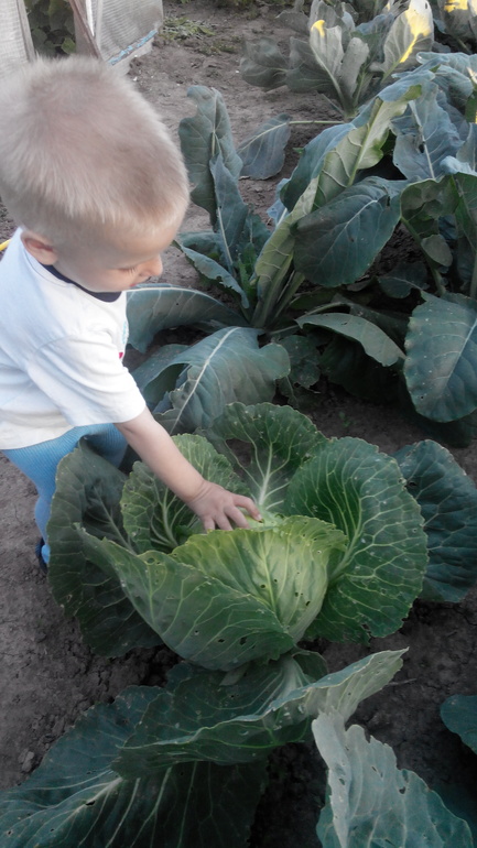 Откуда берутся дети?!))