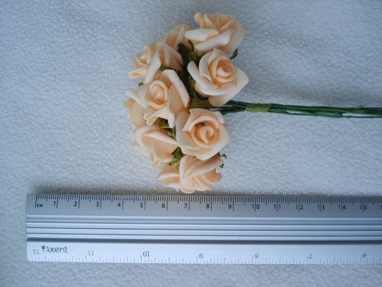 Расхомяк ( Украина)