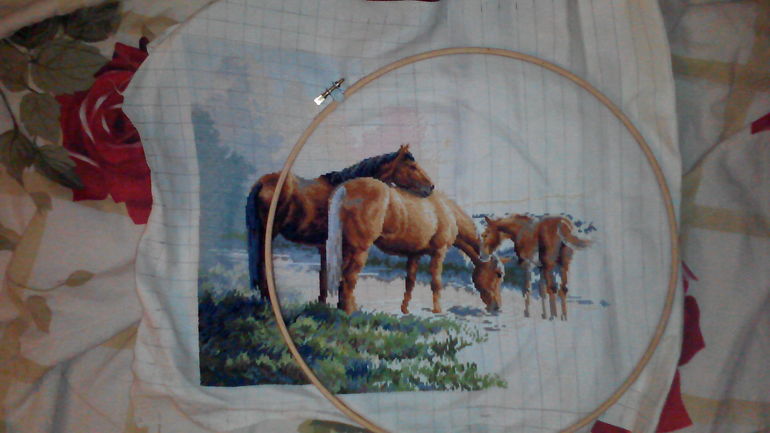 лошади у ручья