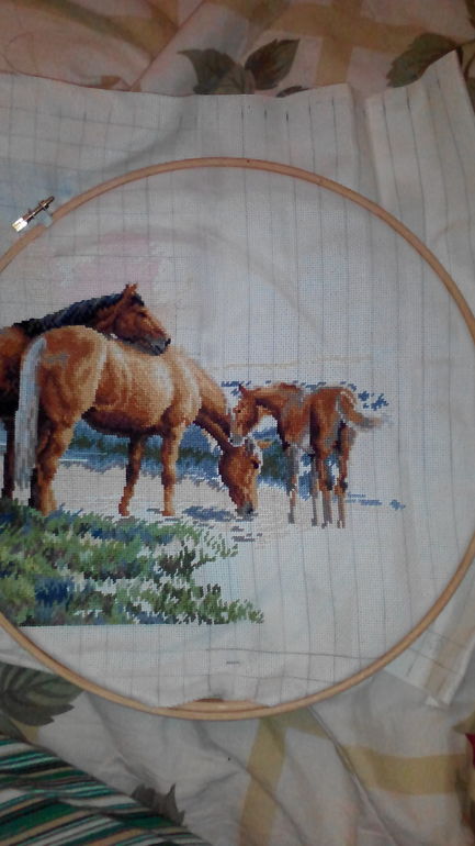 лошади у ручья