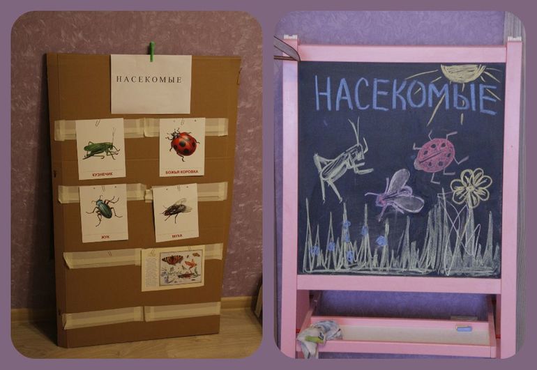 ТН Насекомые