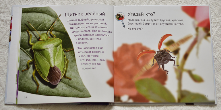 Эту книгу мы возьмем с собой на дачу - 2