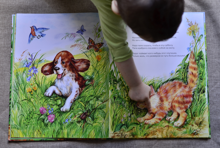 Кошки-мышки