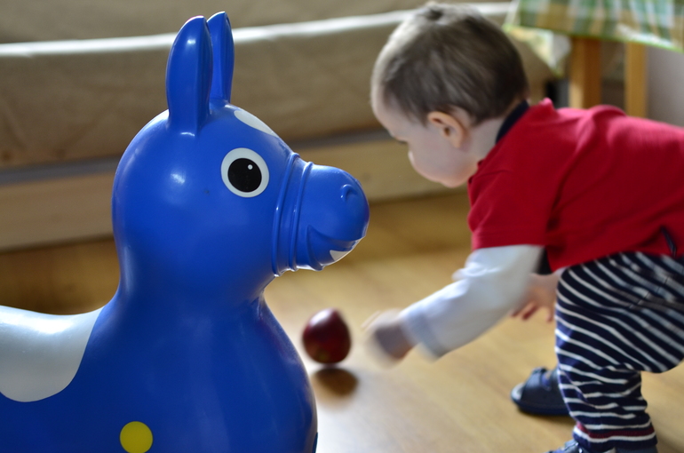 Как мы изучали овощи и фрукты