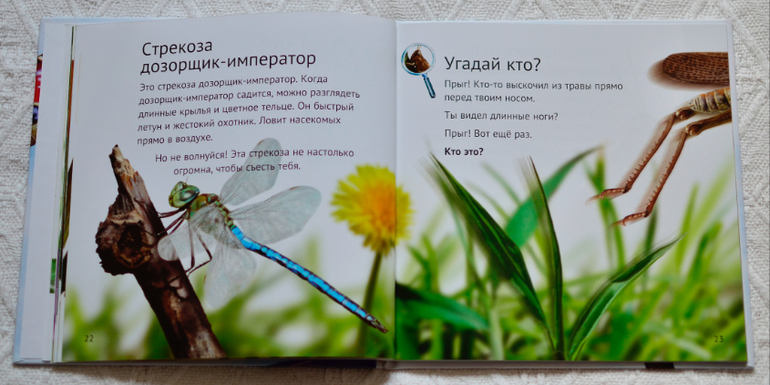 Эту книгу мы возьмем с собой на дачу - 2