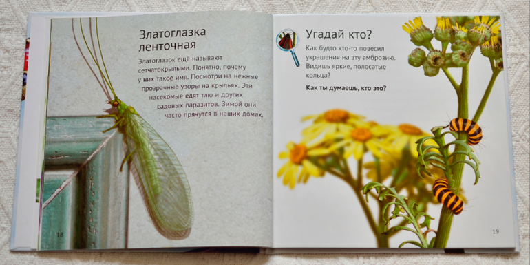 Эту книгу мы возьмем с собой на дачу - 2