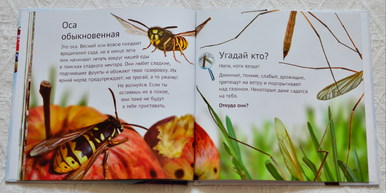 Эту книгу мы возьмем с собой на дачу - 2