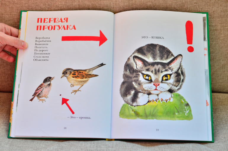 Художница Алиса Порет и ее кошки