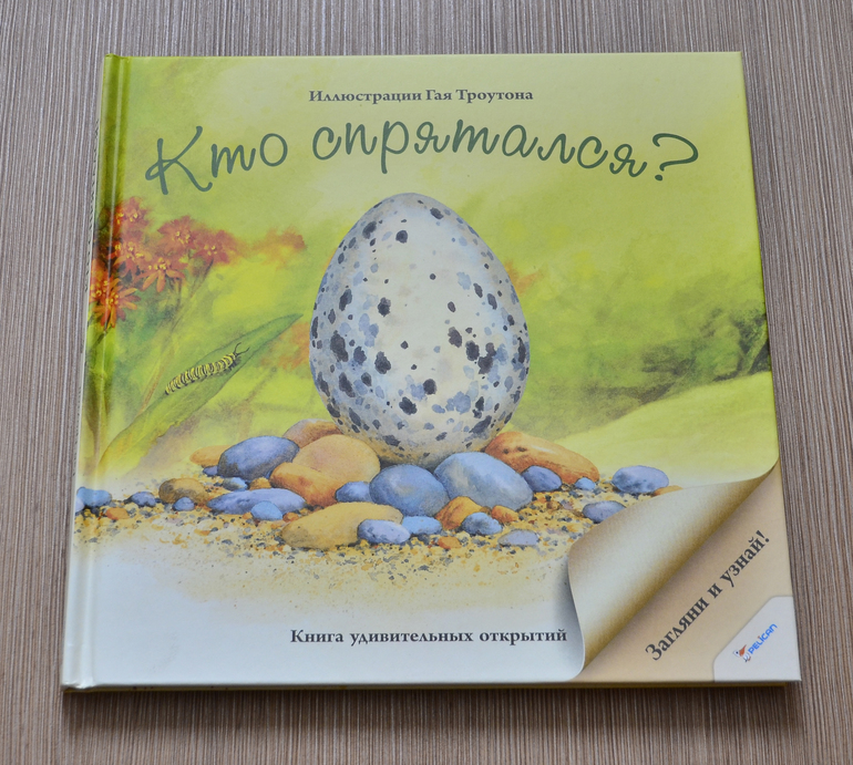 птенец вылупляется. яйца животных. кто вылупился из яйца книга. кто вылупляется из яиц. крокодильчики вылупляются из яиц.
