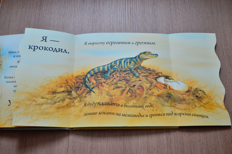 Кто вылупляется из яйца?