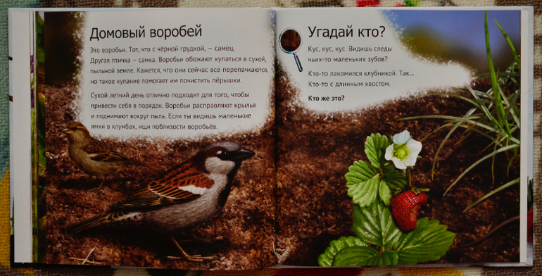 Эту книгу мы возьмем с собой на дачу!