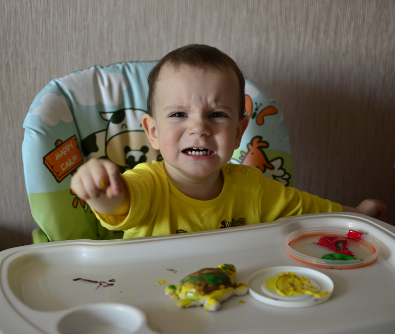 Как мы красили черепаху