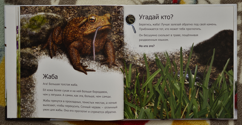 Эту книгу мы возьмем с собой на дачу!