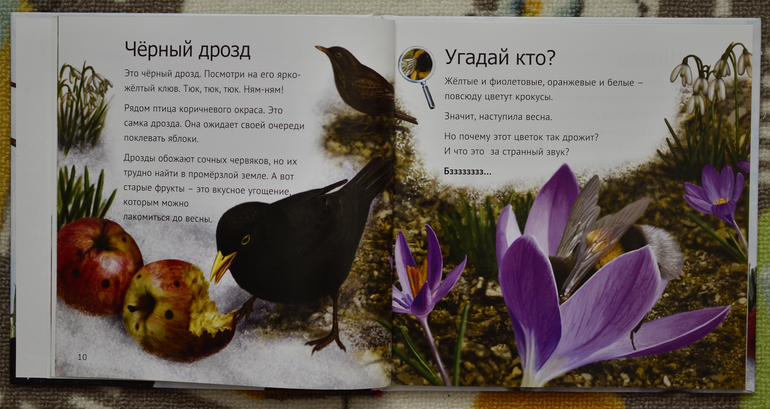 Эту книгу мы возьмем с собой на дачу!