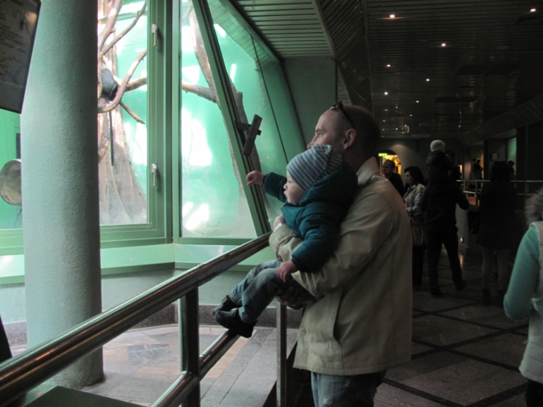 happy birthday to you...and moscow zoo