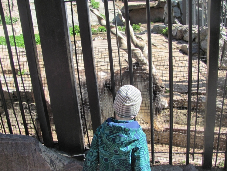 happy birthday to you...and moscow zoo
