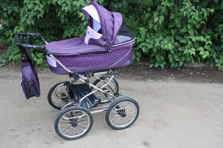 моя любимица Noordline Edel