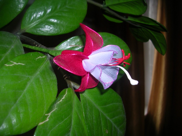 Опробовала новый материал - капрон. Хвастаюсь первыми результатами))