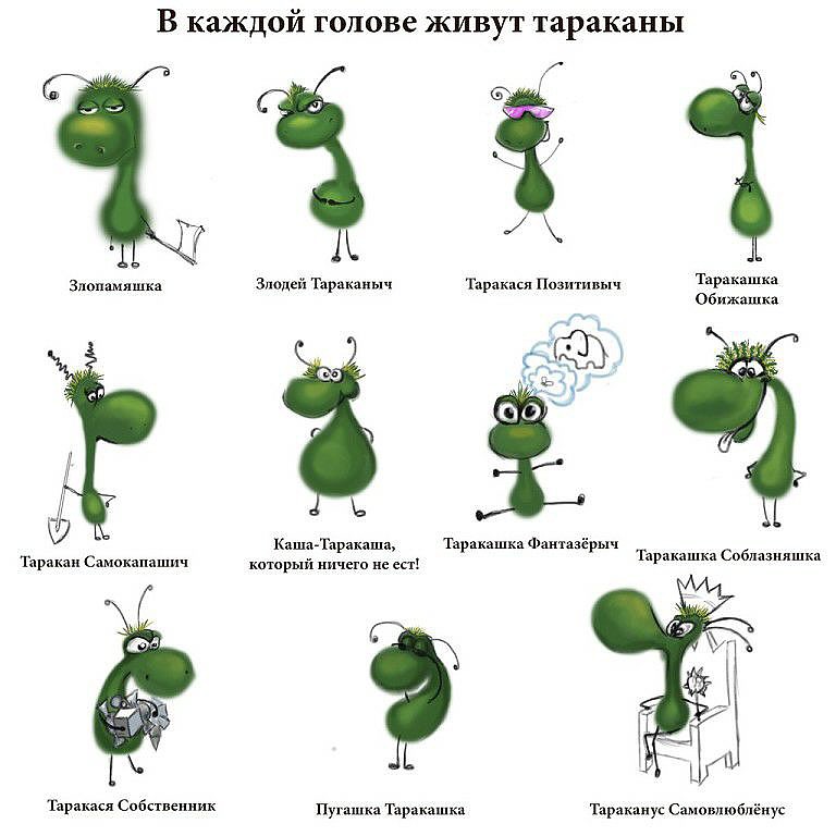 А какая таракася живёт у вас?)))))
