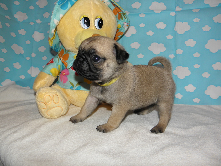 Вот нам уже и месяц)))