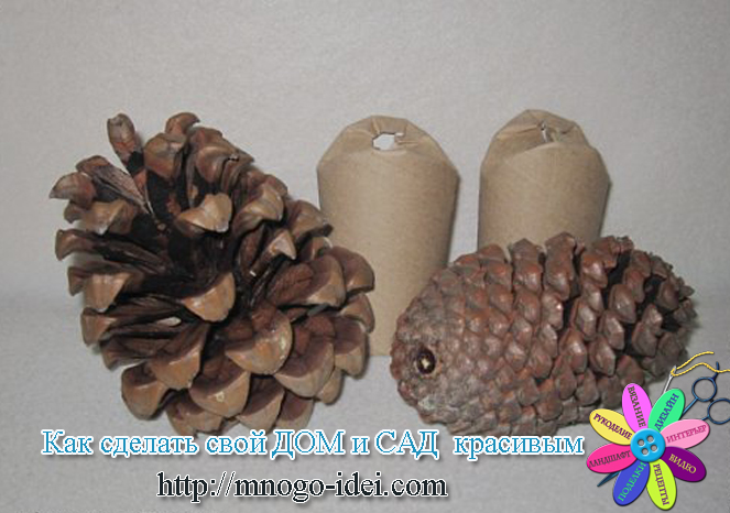 ежики из шишек