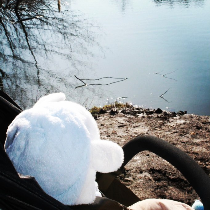 Фоточки с прогулки)