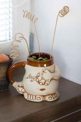 моя кухня цвета капуччино..