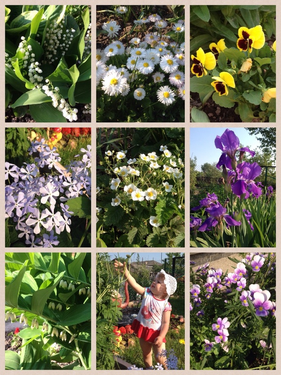 Загораем на даче