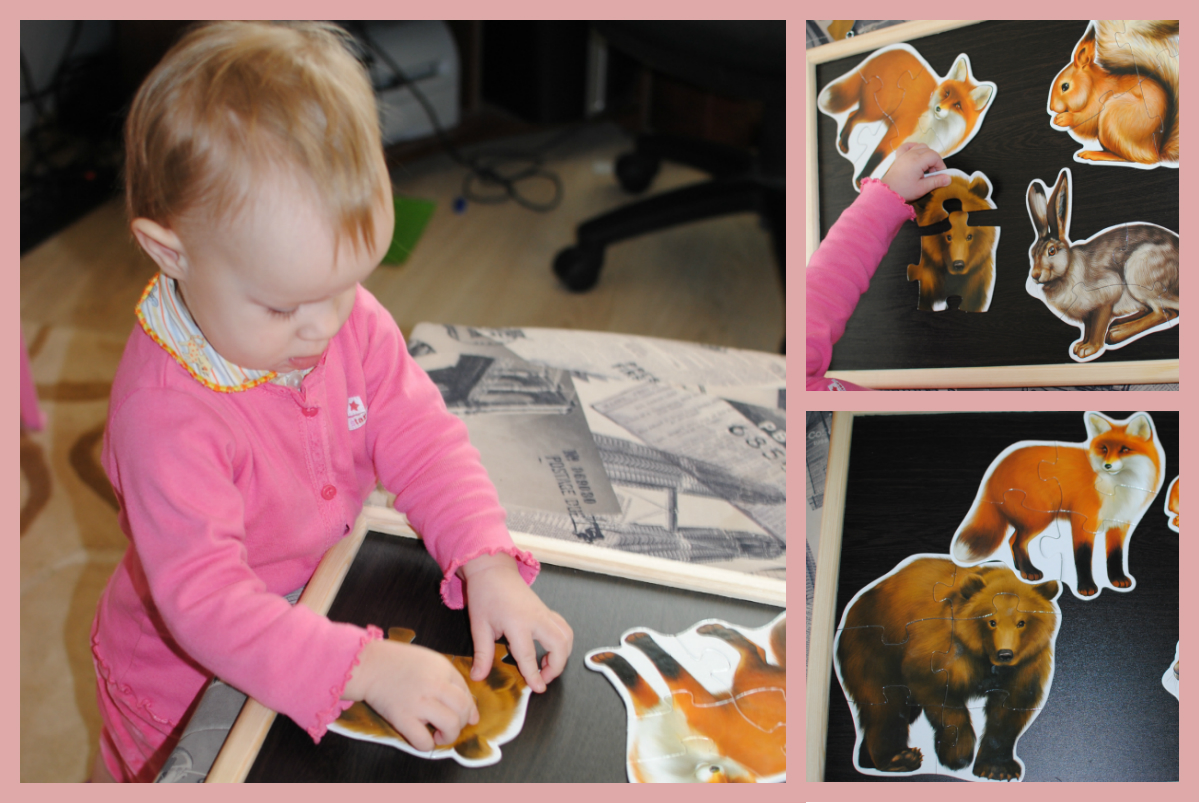 ТН Животные леса 1.9