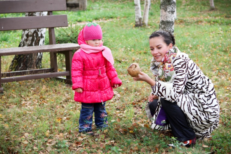 Осенняя пора