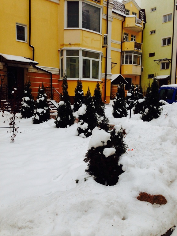 Камбэк))