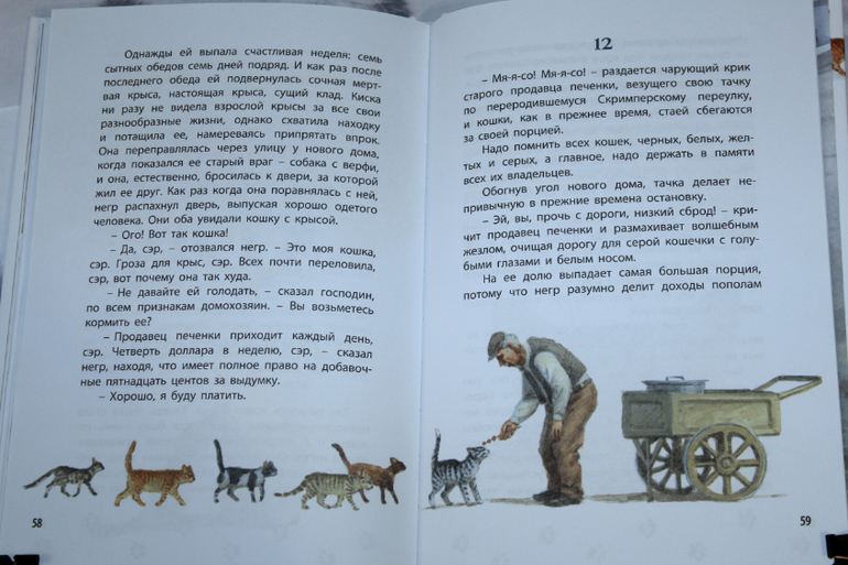 Пересказ королевская аналостанка. Сетон Томпсон Королевская Аналостанка. Королевская Аналостанка краткое содержание. Королевская Аналостанка иллюстрации. Сетон Томсон Королевская Аналостанка краткое содержание.