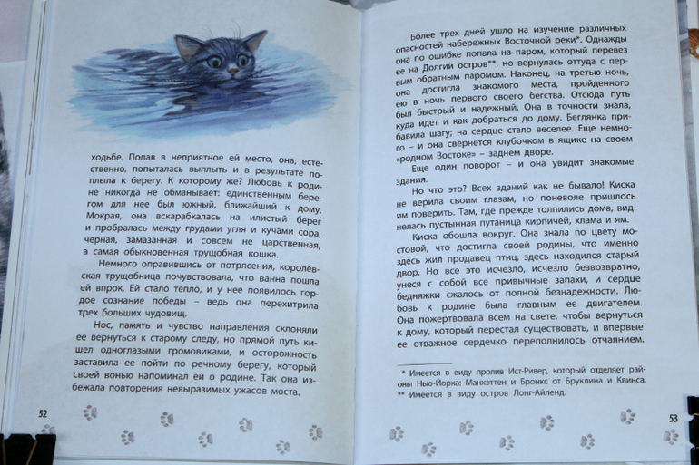 Королевская аналостанка краткое содержание. Сетон Томпсон Королевская Аналостанка. Королевская Аналостанка фото и описание. Королевская Аналостанка иллюстрации. Сетон Томпсон Королевская Аналостанка краткое содержание.