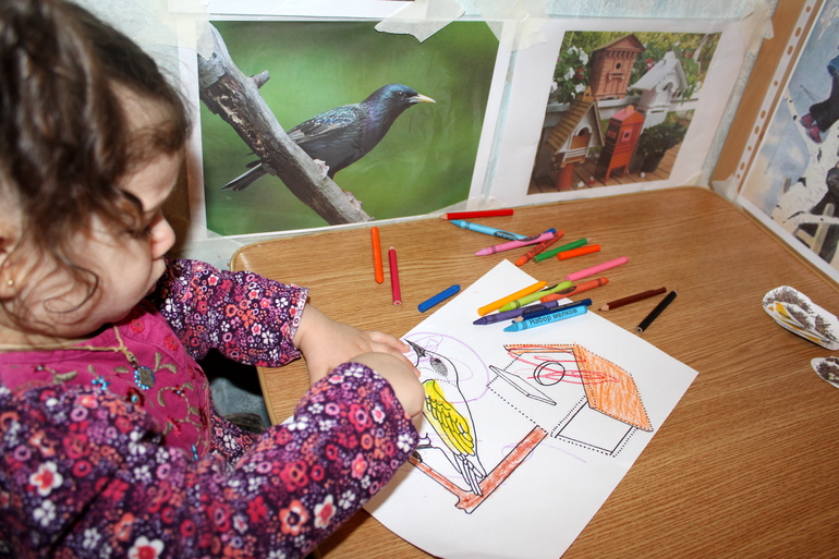 ТН "Весна". День 4 ". Здравствуйте птицы!"