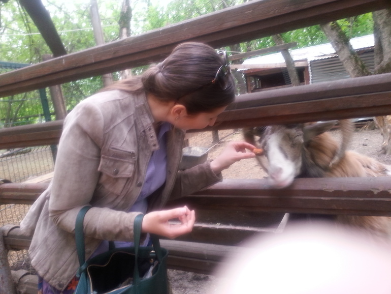 Контактный зоопарк ЖК Золотые ключи 2