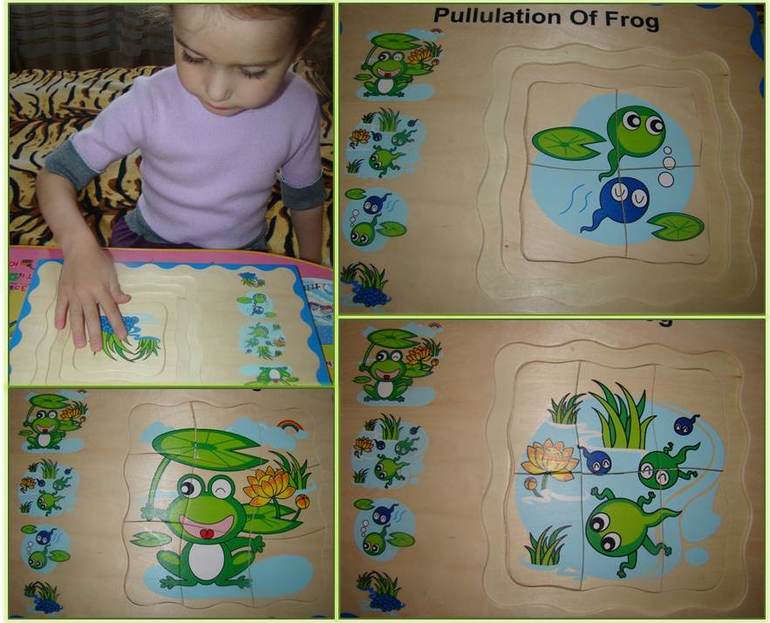 Моторика: Занятие 13 "Лягушки"